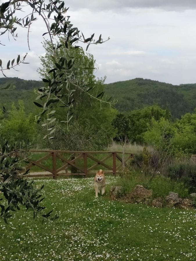 Agriturismo La Provenca Кианчано Терме Екстериор снимка
