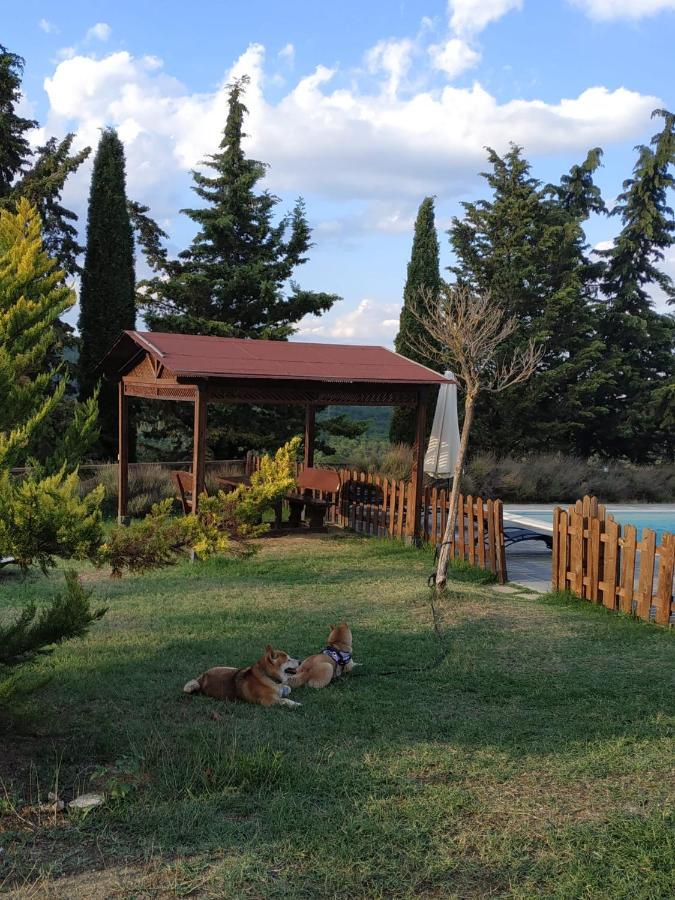 Agriturismo La Provenca Кианчано Терме Екстериор снимка