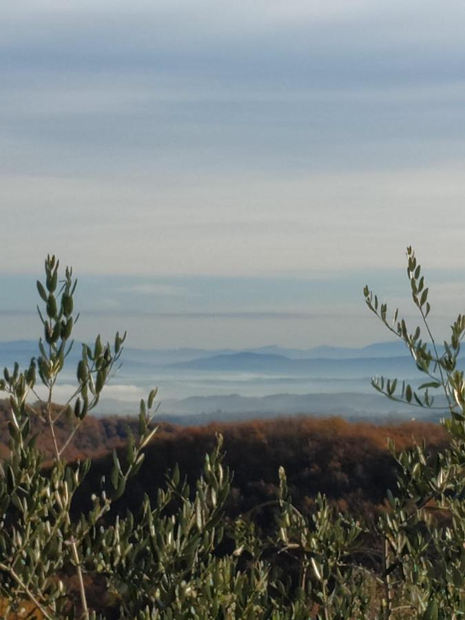 Agriturismo La Provenca Кианчано Терме Екстериор снимка