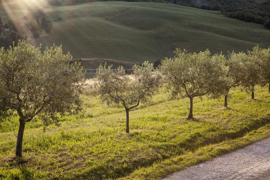 Agriturismo La Provenca Кианчано Терме Екстериор снимка