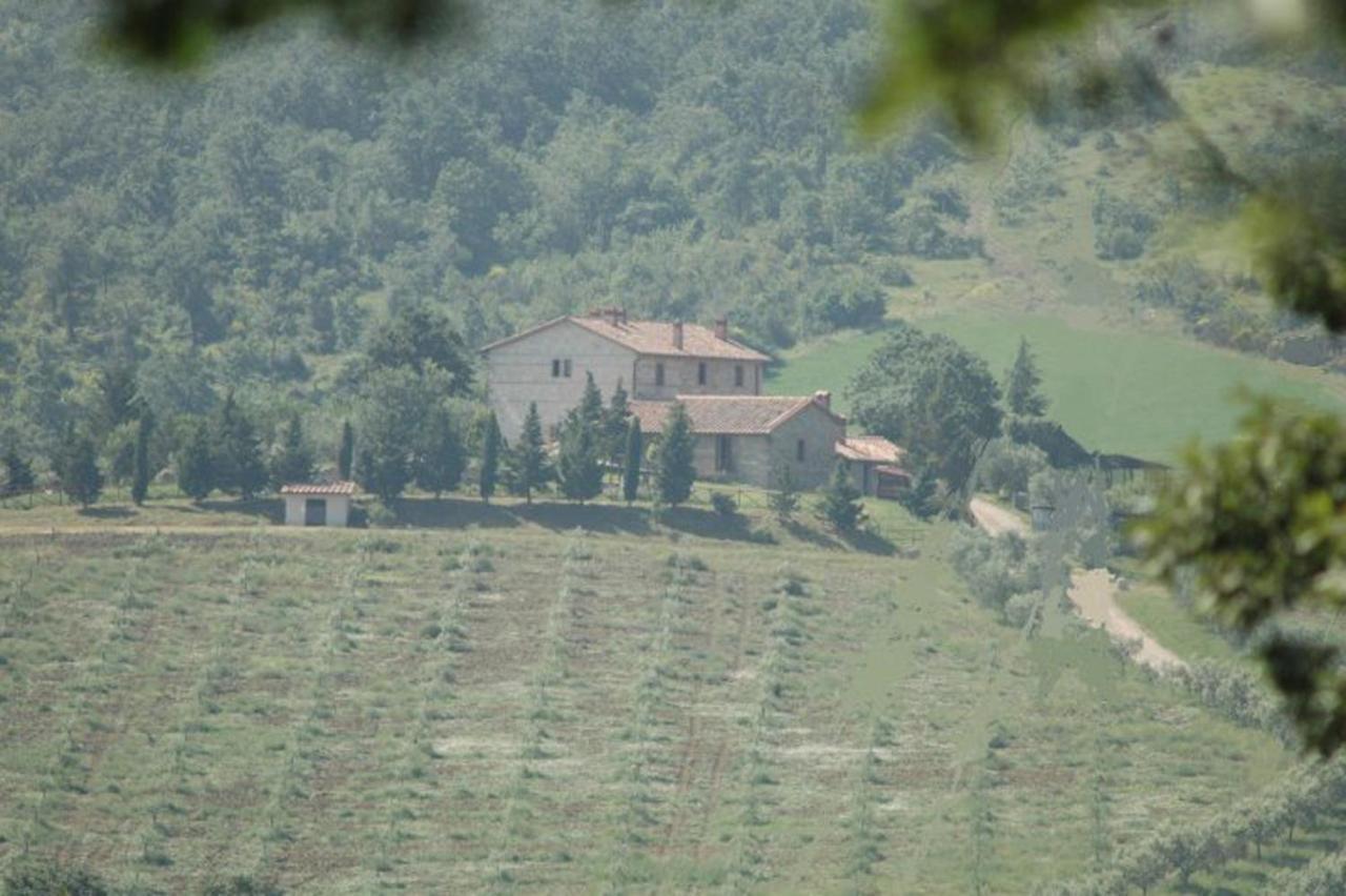 Agriturismo La Provenca Кианчано Терме Екстериор снимка